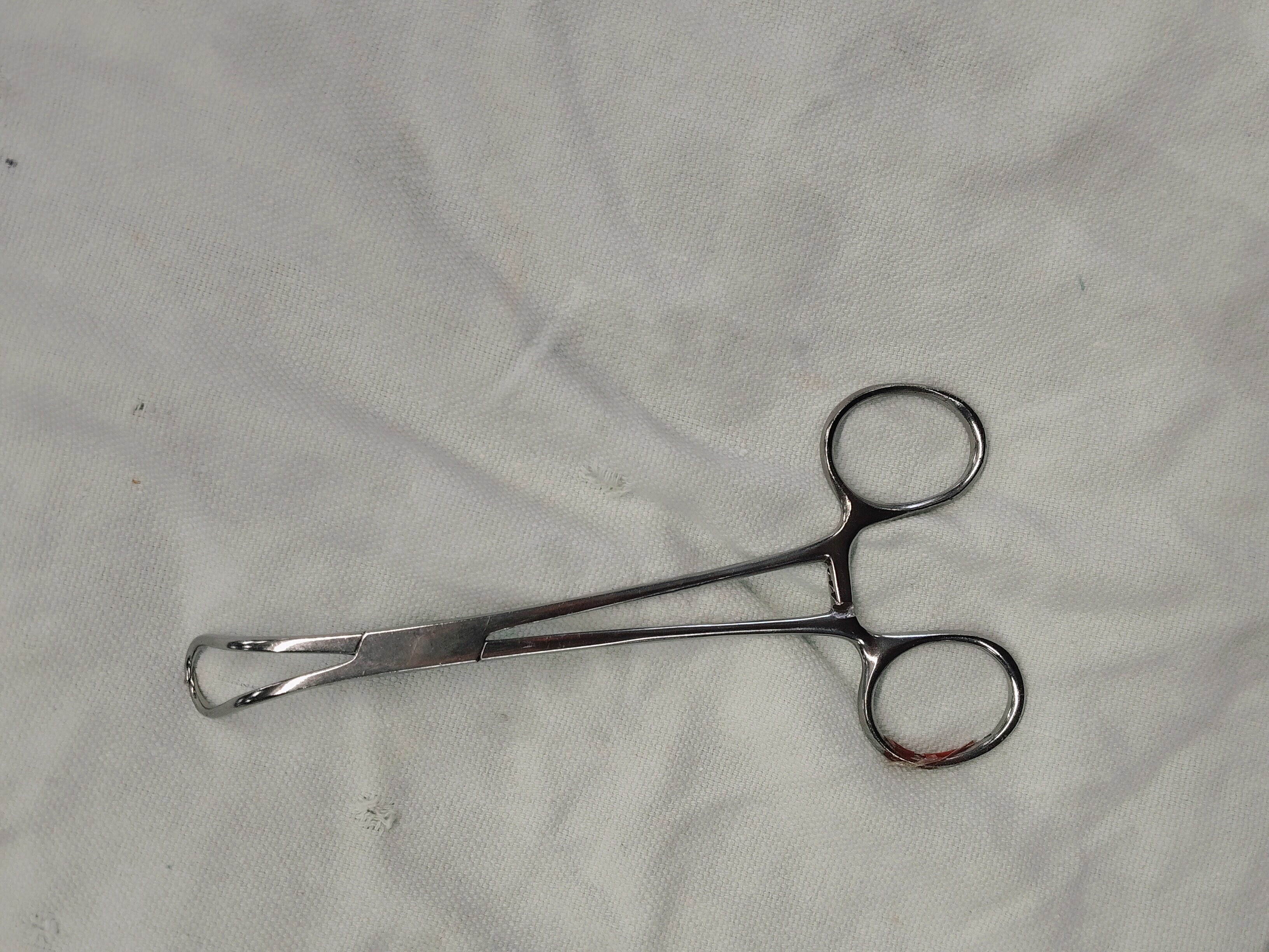 Towel Clip